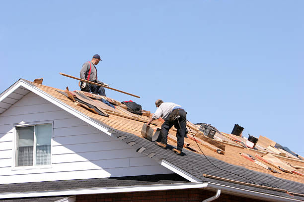 Best Roof Coating and Sealing  in Pea Ridge, FL